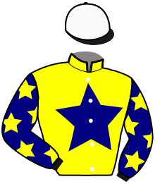 casaque portée par Ott Luk. jockey du cheval de course LEONARDO VICI, information pmu ZETURF