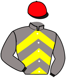 casaque portée par Hemery R. jockey du cheval de course KING FORTIS, information pmu ZETURF