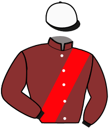 casaque portée par Senet J.F. jockey du cheval de course IDREAMIS, information pmu ZETURF