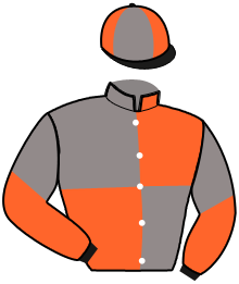 casaque portée par Herbeau E. jockey du cheval de course KARA DU FER, information pmu ZETURF