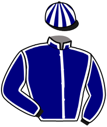 casaque portée par Croisic Mme Est. jockey du cheval de course JERIKA DE KERYANN, information pmu ZETURF