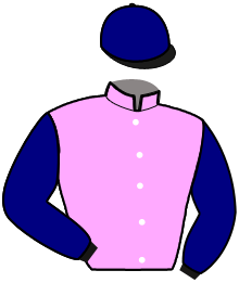 casaque portée par Verva Pie. Y. jockey du cheval de course JULIA QUESNOT, information pmu ZETURF