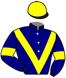 casaque portée par Moutard Jer. jockey du cheval de course SOUS INFLUENCE, information pmu ZETURF