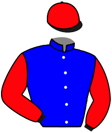 casaque portée par Pouchin A. jockey du cheval de course AL ALMARCHAL, information pmu ZETURF
