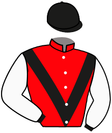 casaque portée par Brunelli Mlle M. jockey du cheval de course DREAM IN BROOKE, information pmu ZETURF