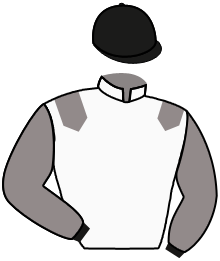 casaque portée par Germain Mlle M. jockey du cheval de course ALROMY, information pmu ZETURF