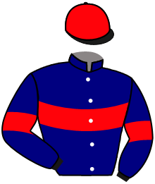 casaque portée par Jiri Chaloupka jockey du cheval de course CôTE JARDIN, information pmu ZETURF