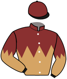 casaque portée par Toussaint C. jockey du cheval de course GLOIRE ROYALE, information pmu ZETURF