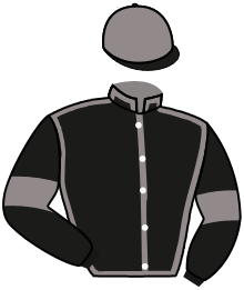 casaque portée par Barzalona M. jockey du cheval de course SUCKING DIESEL, information pmu ZETURF