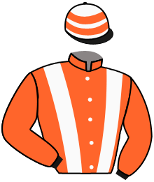 casaque portée par D' Andigne O. jockey du cheval de course DARK SECRET, information pmu ZETURF
