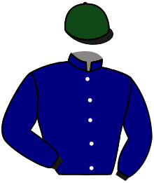 casaque portée par Demuro C. jockey du cheval de course GREASE, information pmu ZETURF