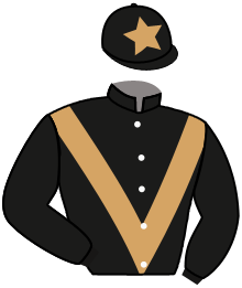 casaque portée par D' Andigne O. jockey du cheval de course MANSSOURIO, information pmu ZETURF