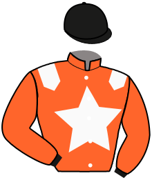 casaque portée par Lebouc Hug. jockey du cheval de course BRAMESHOT, information pmu ZETURF