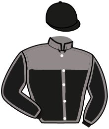 casaque portée par Abrivard M. jockey du cheval de course GINO VIVA, information pmu ZETURF