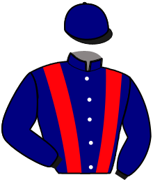 casaque portée par Ploquin Pau. Ph. jockey du cheval de course ENJOY THE GAME, information pmu ZETURF