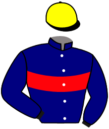 casaque portée par Champier G. jockey du cheval de course BALIROS, information pmu ZETURF