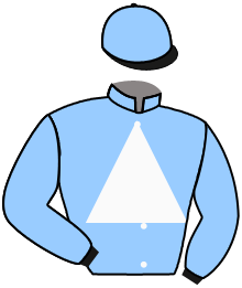 casaque portée par Lecoeuvre C. jockey du cheval de course CHEEKY BOY, information pmu ZETURF