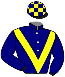 casaque portée par Raimbault C. jockey du cheval de course MARCIABAILA SPIGAO, information pmu ZETURF