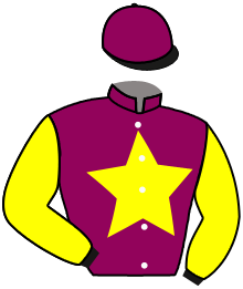 casaque portée par Ferreira N. jockey du cheval de course NEBRASKO, information pmu ZETURF