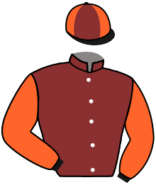 casaque portée par Andrieux T. jockey du cheval de course PLAY IT AGAIN (AQ), information pmu ZETURF