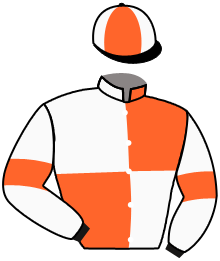 casaque portée par Chuette Mlle S. jockey du cheval de course GLORY DAYS, information pmu ZETURF