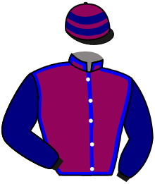 casaque portée par Brechet Léo P. jockey du cheval de course KARNAVAL POINT, information pmu ZETURF