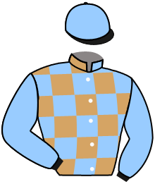 casaque portée par De Giles F. jockey du cheval de course BOTERVIA DU KALON, information pmu ZETURF