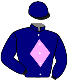 casaque portée par Nabet K. jockey du cheval de course DJIN'S, information pmu ZETURF