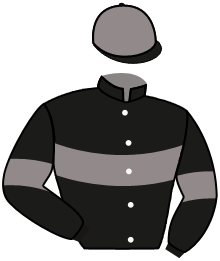 casaque portée par Beaurain T. jockey du cheval de course HACHASSON, information pmu ZETURF