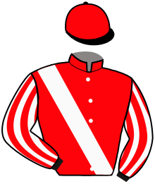 casaque portée par Gauffenic N. jockey du cheval de course JEU DE PISTE, information pmu ZETURF