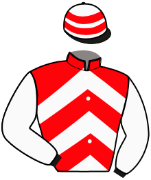 casaque portée par Grimault D. jockey du cheval de course GALET DU LEON, information pmu ZETURF