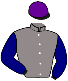 casaque portée par Jamain Y. jockey du cheval de course HIRINA, information pmu ZETURF
