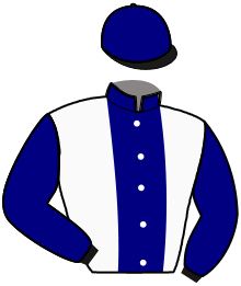 casaque portée par Saliot Y. jockey du cheval de course JACKPOT DE PLOMB, information pmu ZETURF
