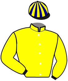 casaque portée par Beaufils Ernault Mme D. jockey du cheval de course KALIN DU HUTREL, information pmu ZETURF