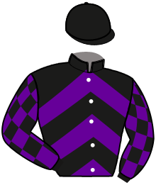casaque portée par Ploquin Pau. Ph. jockey du cheval de course KASCH MILL, information pmu ZETURF