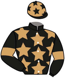 casaque portée par Dollion A. jockey du cheval de course JO DIBAH, information pmu ZETURF