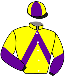 casaque portée par Beaufils Ernault Mme D. jockey du cheval de course JANAE D'ECHAL, information pmu ZETURF