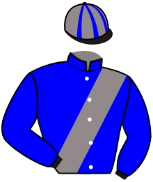 casaque portée par Mottier M. jockey du cheval de course JESOLO, information pmu ZETURF