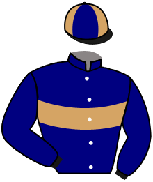 casaque portée par Pouchin A. jockey du cheval de course CONTENTIOUS SOUL, information pmu ZETURF casaque portée par Pouchin A. jockey du cheval de course CONTENTIOUS SOUL, information pmu ZETURF