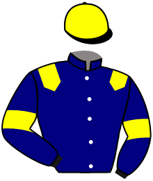 casaque portée par Duchene Med. jockey du cheval de course GINO DINO, information pmu ZETURF
