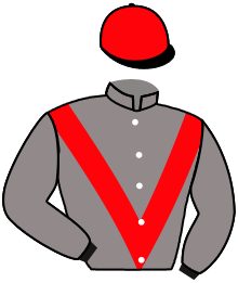 casaque portée par Seigneul A. jockey du cheval de course GOLDEN VAL, information pmu ZETURF