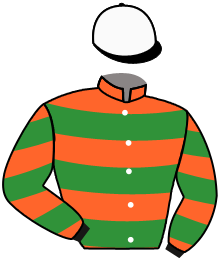 casaque portée par Reveley J. jockey du cheval de course KLOTH OF UTOPIA, information pmu ZETURF