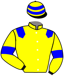 casaque portée par Blais Adr. jockey du cheval de course TOP LIST, information pmu ZETURF