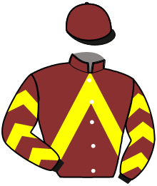casaque portée par Ploquin Pau. Ph. jockey du cheval de course GOLDEN VIKING, information pmu ZETURF