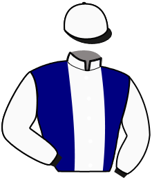 casaque portée par Rochard B. jockey du cheval de course GOLD PEJI, information pmu ZETURF