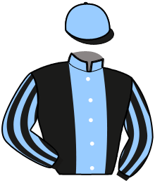 casaque portée par Bougon Bougeard P. jockey du cheval de course GENIE DES LUCAS, information pmu ZETURF