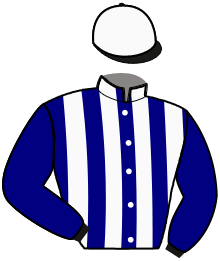 casaque portée par Renaudin Mlle A. jockey du cheval de course IOLAS, information pmu ZETURF