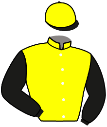 casaque portée par Boutin Hug. jockey du cheval de course ZACAPO, information pmu ZETURF