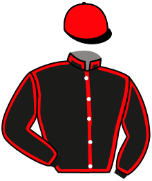 casaque portée par Boutin Hug. jockey du cheval de course PINK PERSEVERANCE, information pmu ZETURF