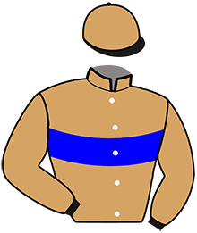casaque portée par Vincent J. C. jockey du cheval de course HADOL DE FAEL, information pmu ZETURF